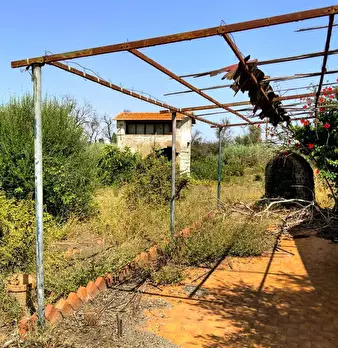 Foto annuncio 8