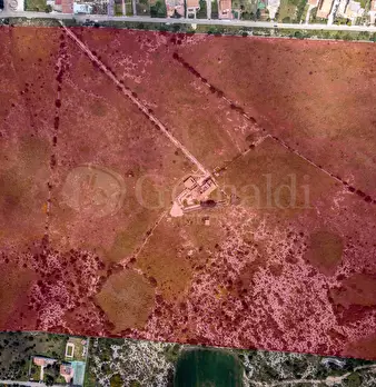 Foto annuncio 23