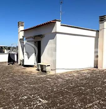 Foto annuncio 33