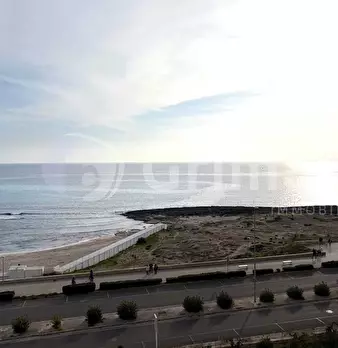 Foto annuncio 45