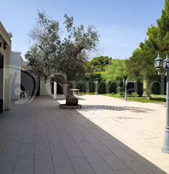 Foto annuncio 31