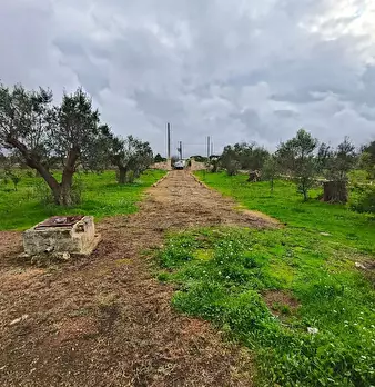 Foto annuncio 4