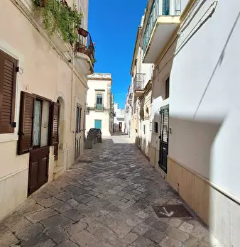 Foto annuncio 18
