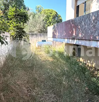 Foto annuncio 24
