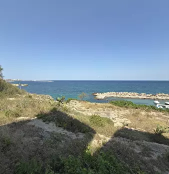 Foto annuncio 12
