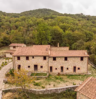 Foto annuncio 19