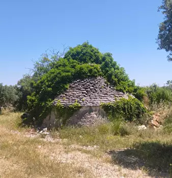 Foto annuncio 1