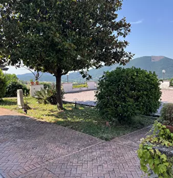 Foto annuncio 30