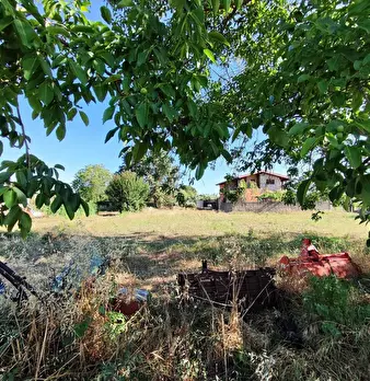 Foto annuncio 2