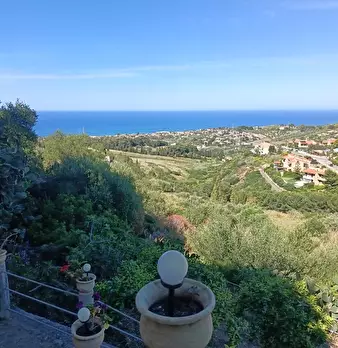 Foto annuncio 107