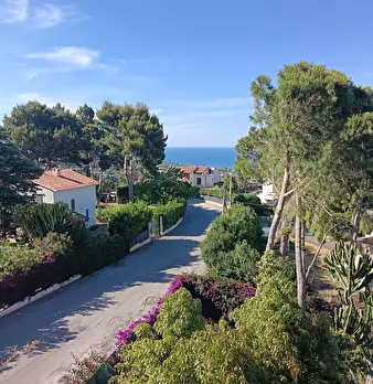 Foto annuncio 117