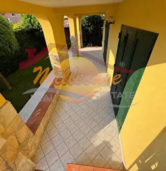 Foto annuncio 11