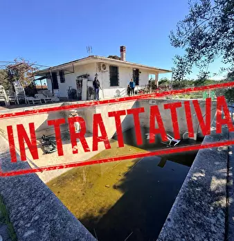 Foto annuncio 1