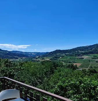 Foto annuncio 13