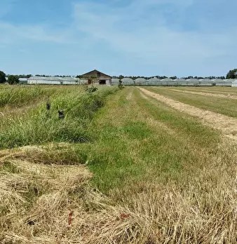 Foto annuncio 4