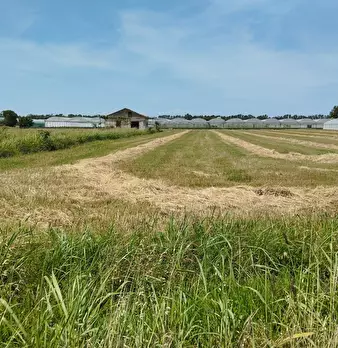 Foto annuncio 6