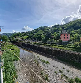 Foto annuncio 40