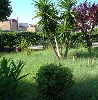 Foto annuncio 17