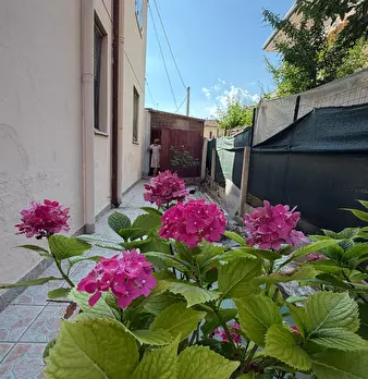 Foto annuncio 8