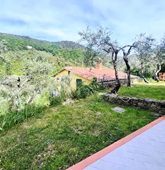 Foto annuncio 11