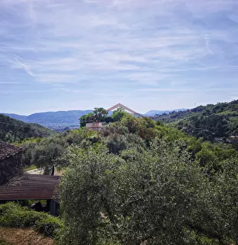 Foto annuncio 34