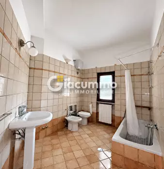 Foto annuncio 21