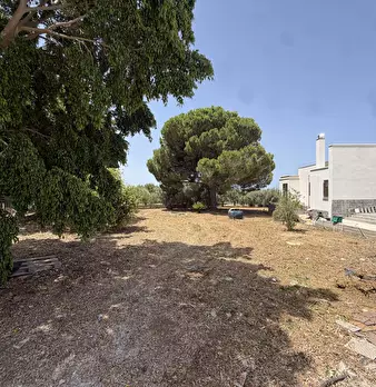Foto annuncio 9