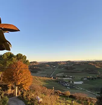 Foto annuncio 88