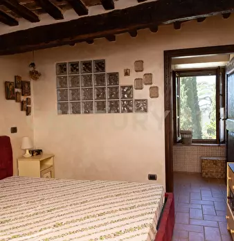 Foto annuncio 6