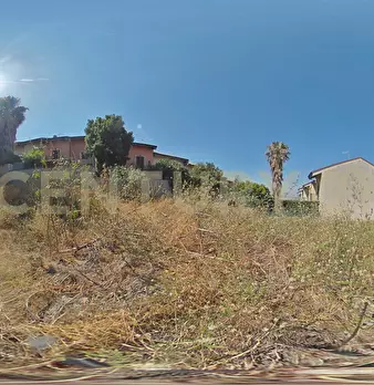 Foto annuncio 52