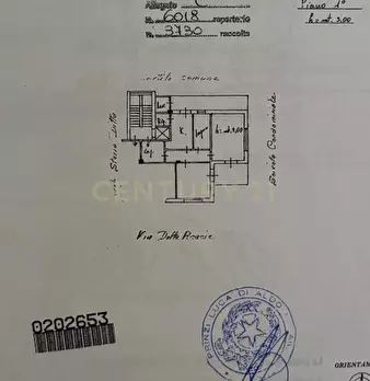 Foto annuncio 2