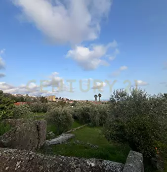 Foto annuncio 18