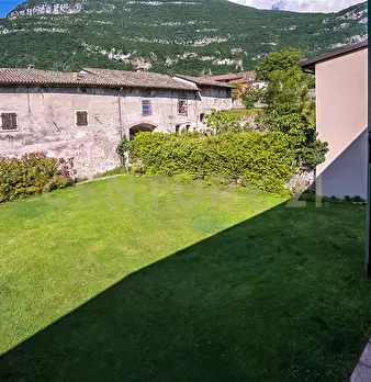 Foto annuncio 137