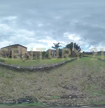 Foto annuncio 111