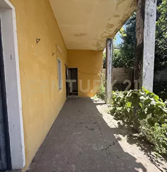 Foto annuncio 21