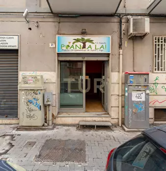 Foto annuncio 22