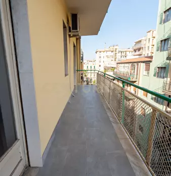 Foto annuncio 12
