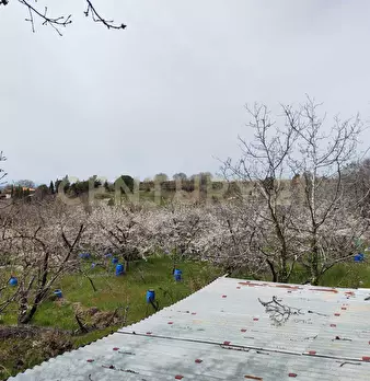 Foto annuncio 28