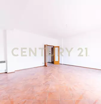 Foto annuncio 12