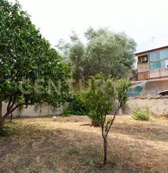 Foto annuncio 31