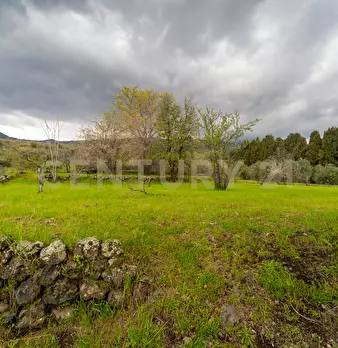 Foto annuncio 33