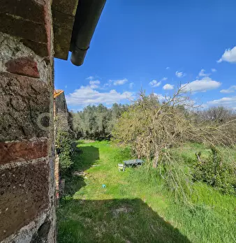 Foto annuncio 7