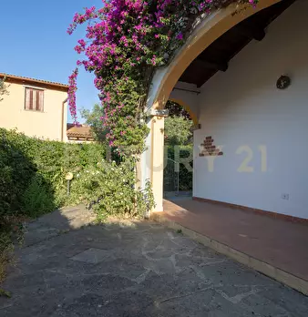 Foto annuncio 28