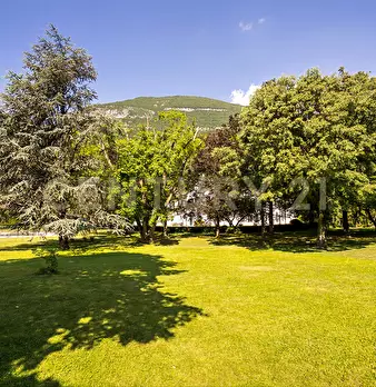 Foto annuncio 150