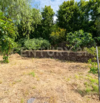 Foto annuncio 31