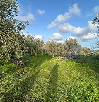 Foto annuncio 38