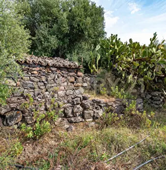 Foto annuncio 56