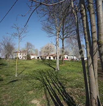 Foto annuncio 33