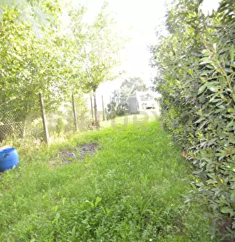 Foto annuncio 23