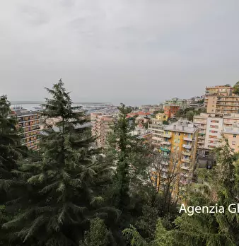 Foto annuncio 41